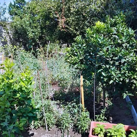 Rosa Vesuviana Bed & Breakfast
